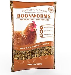 Pecking Order Boonworms Chicken Treats, 11-lb bag