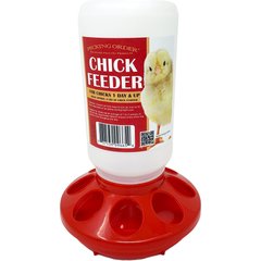 Pecking Order Chick Feeder