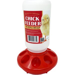 Pecking Order Chick Feeder