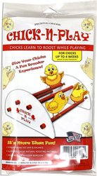 Pecking Order Chick-N-Play Chicken Toy