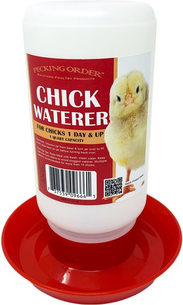 Show full view: Pecking Order Chick Waterer slide 1 of 1