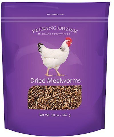 Freeze Dried Mealworms (Free Shipping) | Chewy