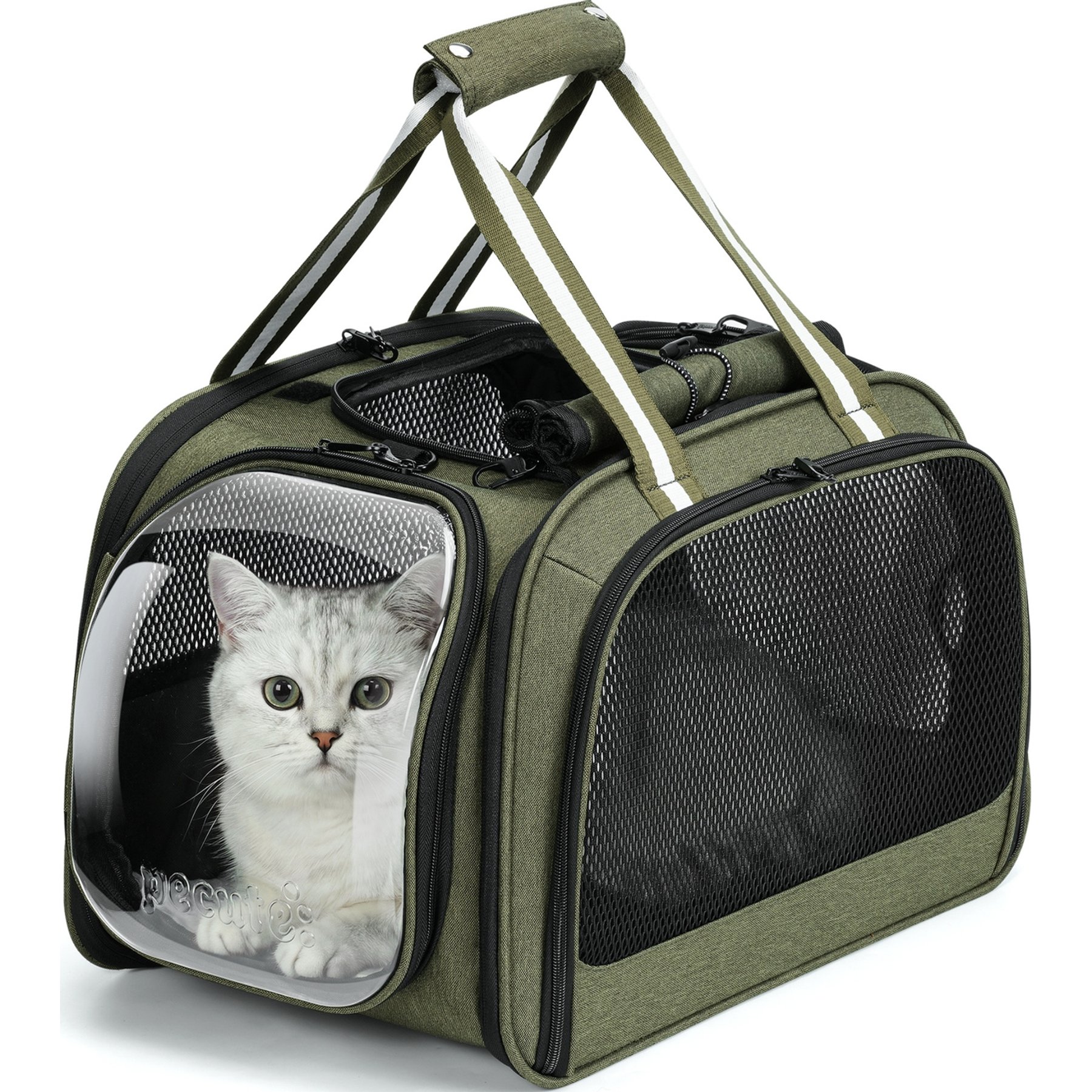 Pecute Bubble Pet Carrier for Dogs & Cats, 17-in, Dark Green