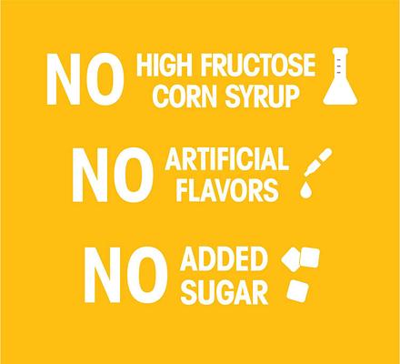 Show full view: Pedigree Big Dogs Adult Complete Nutrition Large Breed Roasted Chicken Flavor Dry Dog Food + Choice Cuts In Gravy Country Stew & Chicken & Rice Flavor Canned Wet Food Variety Pack slide 5 of 9