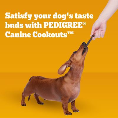 Show full view: Pedigree Canine Cookout Beef Flavored High-Protein Adult Meaty Sticks Soft Dog Treats, 5.36-oz pouch slide 9 of 11
