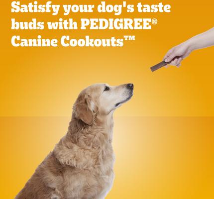 Show full view: Pedigree Canine Cookout Chicken Flavored High-Protein Adult Meaty Strips Soft Dog Treats, 18.2-oz pouch slide 9 of 11