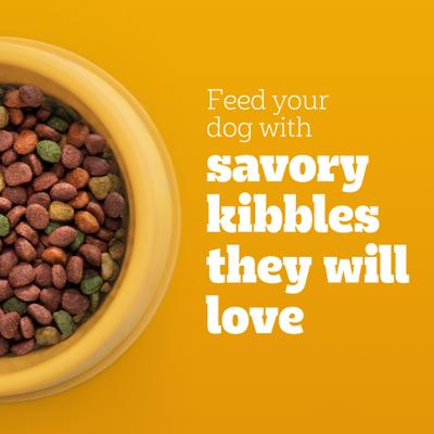 Show full view: Pedigree Complete Nutrition Grilled Steak & Vegetable Flavor Dry Food + Chopped Ground Dinner Filet Mignon Flavor & Beef Canned Wet Dog Food Variety Pack slide 4 of 9