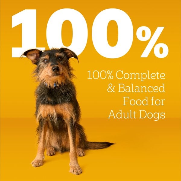 Pedigree Adult Dry Dog Food Roasted Chicken & Vegetable Flavor With Bacon Flavored Bites