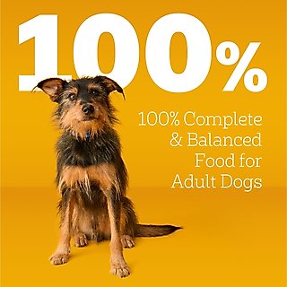 Pedigree Complete Nutrition Roasted Chicken & Vegetable Flavor Dog Kibble Adult Dry Dog Food, 30-lb bag slide 9 of 9