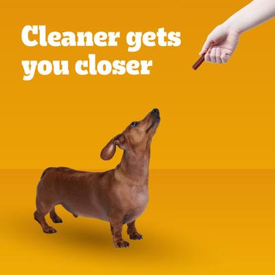 Show full view: Pedigree Dentastix Bacon Flavor Dental Treats for Toy & Small Dogs, 9.6-oz pouch, 40 count slide 9 of 11