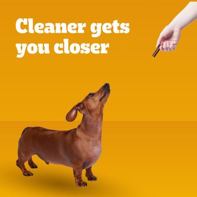 Show full view: Pedigree Dentastix Beef Mini Dental Dog Treats, 24 count slide 9 of 12