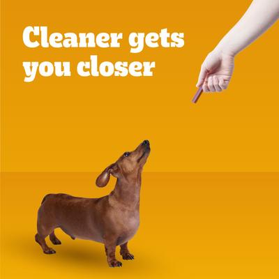 Show full view: Pedigree Dentastix Dual Flavored Bacon & Chicken Flavored Mini Dental Dog Treats, 84 count slide 9 of 11