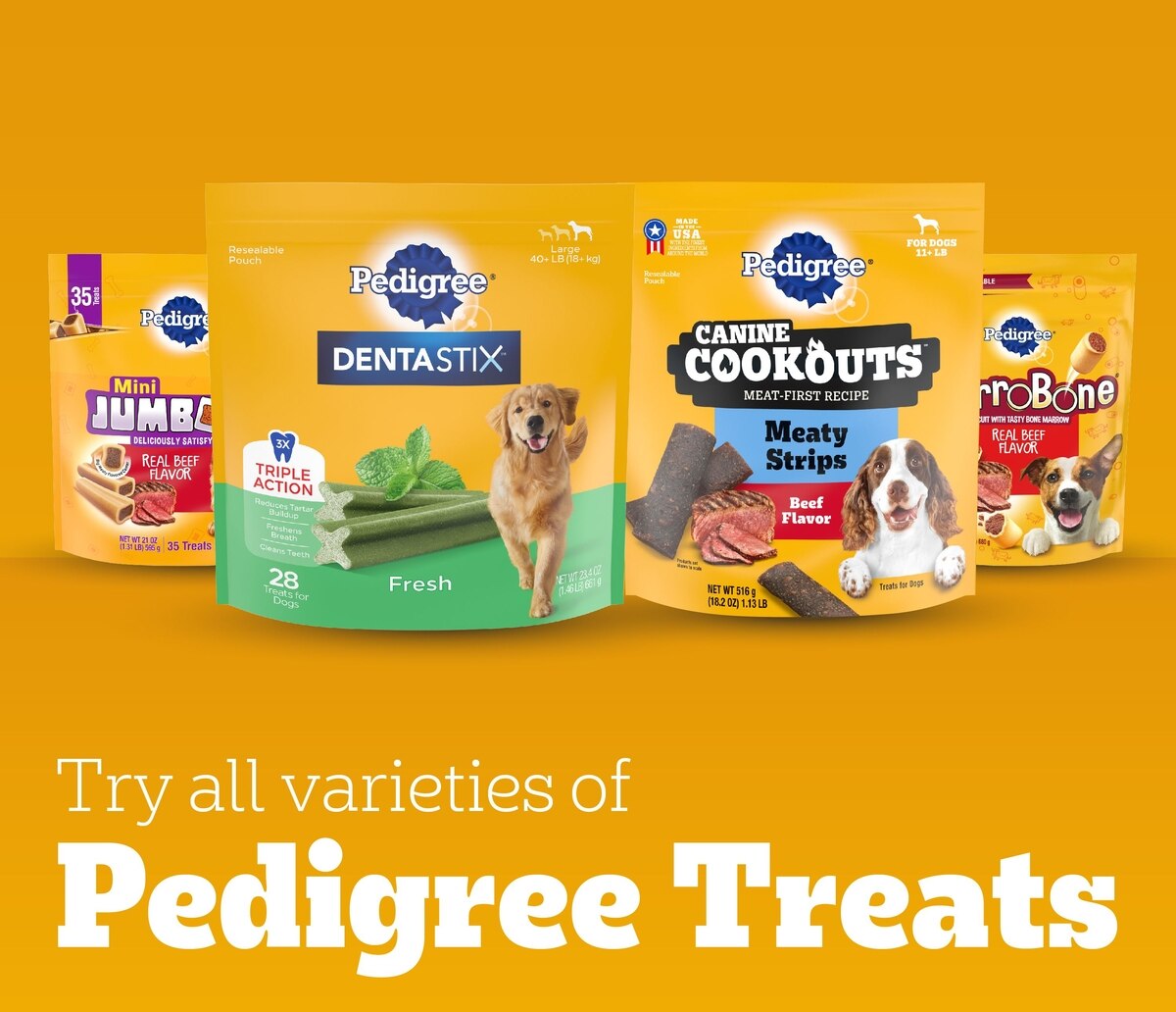 PEDIGREE Dentastix Fresh Mint Flavored Large Dental Dog Treats, 36