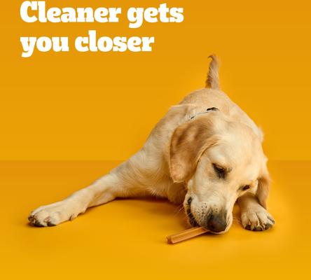 Show full view: Pedigree Dentastix Mini Original Chicken Flavor Dental Dog Treats, 84 count slide 9 of 12