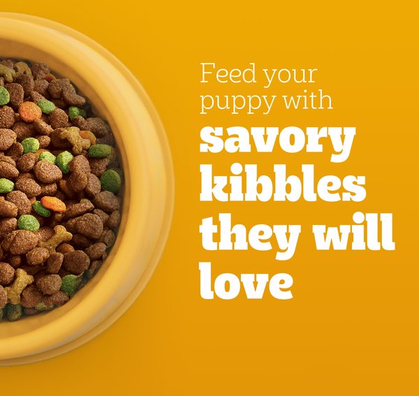 Pedigree Puppy Growth & Protection Chicken & Vegetable Flavor Dry Dog Food