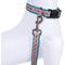Show in main carousel: Pendleton Adventure Dog Collar, Pagosa Spring, Large: 16 to 22-in neck, 1-in wide slide 5 of 5