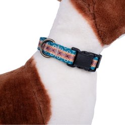 Pendleton Adventure Dog Collar, Pagosa Spring, Medium: 13 to 16-in neck, 3/4-in wide slide 2 of 5