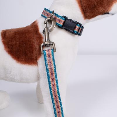 Show full view: Pendleton Adventure Dog Collar, Pagosa Spring, Small: 11 to 13-in neck, 3/4-in wide slide 5 of 6