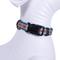 Show in main carousel: Pendleton Adventure Dog Collar, Pagosa Spring, X-Large: 20 to 26-in neck, 1-in wide slide 4 of 5