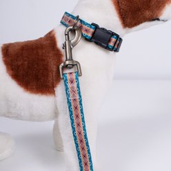 Pendleton Adventure Dog Leash Pagosa Spring, 6-ft long, 1-in wide slide 2 of 6