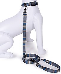 Pendleton National Park Adventure Polyester Adjustable Dog Leash, Olympic, 6-ft long, 1-in wide slide 2 of 5