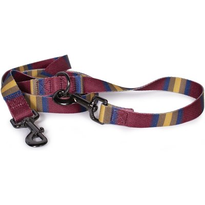 Pendleton Pendleton National Park Adventure Polyester Adjustable Dog Leash, Zion, 6-ft long, 1-in wide