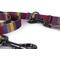 Show in main carousel: Pendleton National Park Adventure Polyester Adjustable Dog Leash, Zion, 6-ft long, 1-in wide slide 2 of 5
