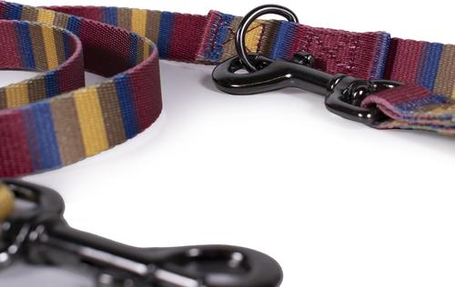 Show full view: Pendleton National Park Adventure Polyester Adjustable Dog Leash, Zion, 6-ft long, 1-in wide slide 2 of 5
