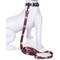 Show in main carousel: Pendleton National Park Adventure Polyester Adjustable Dog Leash, Zion, 6-ft long, 1-in wide slide 3 of 5