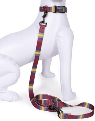 Show full view: Pendleton National Park Adventure Polyester Adjustable Dog Leash, Zion, 6-ft long, 1-in wide slide 3 of 5