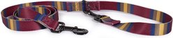 Pendleton National Park Adventure Polyester Adjustable Dog Leash, Zion, 6-ft long, 3/4-in wide