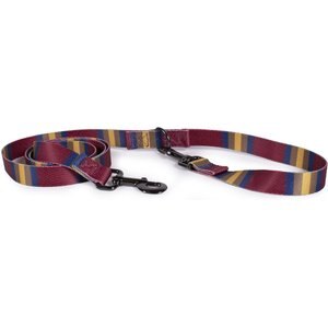 Pendleton National Park Adventure Polyester Adjustable Dog Leash, Zion, 6-ft long, 3/4-in wide