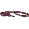 Show in main carousel: Pendleton National Park Adventure Polyester Adjustable Dog Leash, Zion, 6-ft long, 3/4-in wide slide 1 of 5