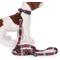 Show in main carousel: Pendleton National Park Adventure Polyester Adjustable Dog Leash, Zion, 6-ft long, 3/4-in wide slide 3 of 5