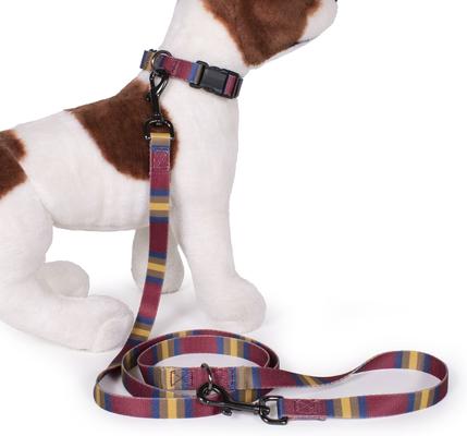 Show full view: Pendleton National Park Adventure Polyester Adjustable Dog Leash, Zion, 6-ft long, 3/4-in wide slide 3 of 5