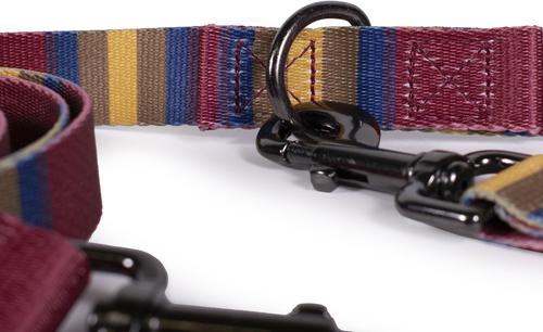 Show full view: Pendleton National Park Adventure Polyester Adjustable Dog Leash, Zion, 6-ft long, 3/4-in wide slide 2 of 5