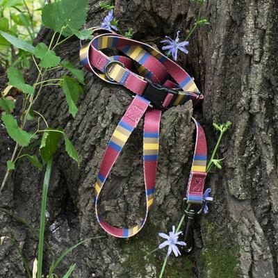 Show full view: Pendleton National Park Adventure Polyester Adjustable Dog Leash, Zion, 6-ft long, 3/4-in wide slide 5 of 5