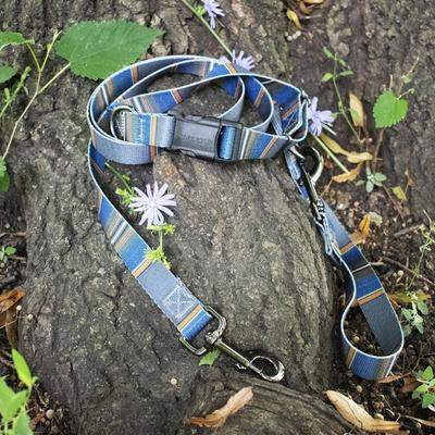 Show full view: Pendleton National Park Adventure Polyester Dog Collar, Olympic, Large: 16 to 22-in neck, 1-in wide slide 4 of 6