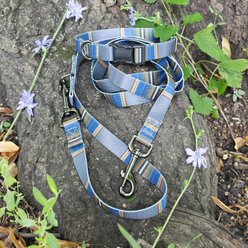 Pendleton National Park Adventure Polyester Dog Collar, Olympic, Small: 11 to 13-in neck, 3/8-in wide slide 2 of 5