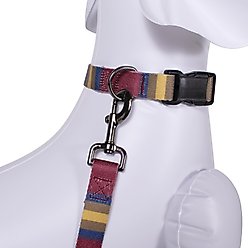Pendleton National Park Adventure Polyester Dog Collar, Zion, Large: 16 to 22-in neck, 1-in wide slide 2 of 5