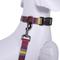 Show in main carousel: Pendleton National Park Adventure Polyester Dog Collar, Zion, Large: 16 to 22-in neck, 1-in wide slide 3 of 6