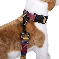 Pendleton National Park Adventure Polyester Dog Collar, Zion, Medium: 13 to 16-in neck, 3/4-in wide slide 2 of 5