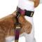 Show in main carousel: Pendleton National Park Adventure Polyester Dog Collar, Zion, Medium: 13 to 16-in neck, 3/4-in wide slide 3 of 6