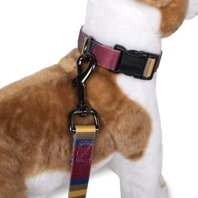 Show full view: Pendleton National Park Adventure Polyester Dog Collar, Zion, Medium: 13 to 16-in neck, 3/4-in wide slide 3 of 6