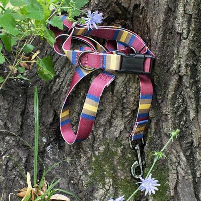 Show full view: Pendleton National Park Adventure Polyester Dog Collar, Zion, X-Large: 18 to 26-in neck, 1-in wide slide 4 of 6