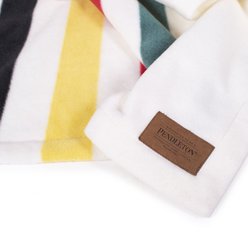 Pendleton National Park Dog Throw Blanket, 30x40-in, Glacier slide 2 of 2