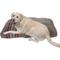 Show in main carousel: Pendleton Yakima Camp Pillow Dog Bed with Removable Cover, Umber, Large slide 1 of 7