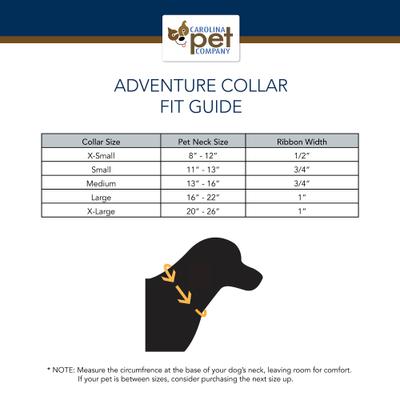 Show full view: Pendleton Yellowstone National Park Adventure Dog Collar, Yellowstone, Small: 11 to 13-in neck, 3/4-in wide slide 6 of 6