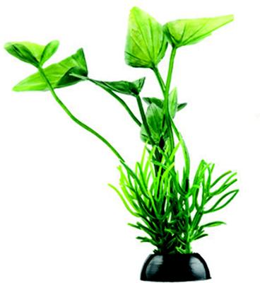 Show full view: Penn-Plax 4-in Natural Betta Fish Plant, Multicolor, 12 count slide 2 of 9