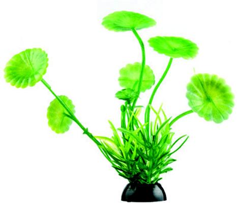 Show full view: Penn-Plax 4-in Natural Betta Fish Plant, Multicolor, 12 count slide 5 of 9